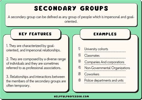 Secondary Groups In Sociology Definition And 10 Examples 2024