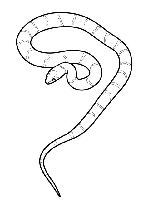 Serpent 6 Coloriages Animaux Serpents