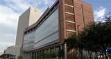 University Of Texas Health Sciences Center At Houston Photos