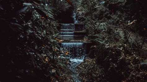 Download Wallpaper 1366x768 Stream Waterfall Jungle Trees Bushes