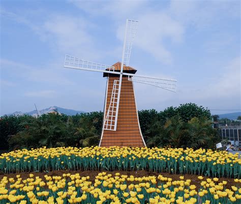 Chungshe Flower Garden The Most Splendid Flower Fields In Taiwan The