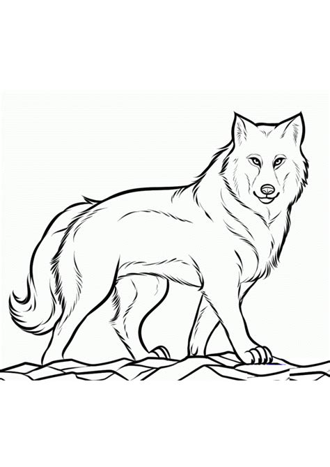 Coloring Pages Free Printable Wolf Coloring Pages For Kids