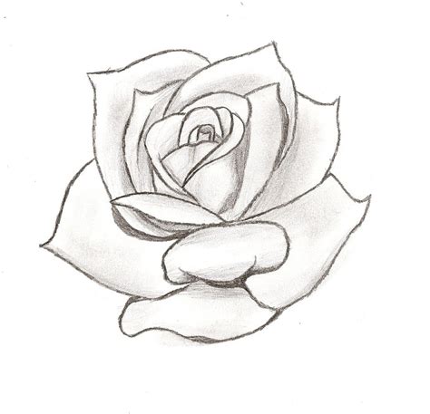 4 Best Images Of Rose Tracing Printable Rose Tattoo Stencil Designs