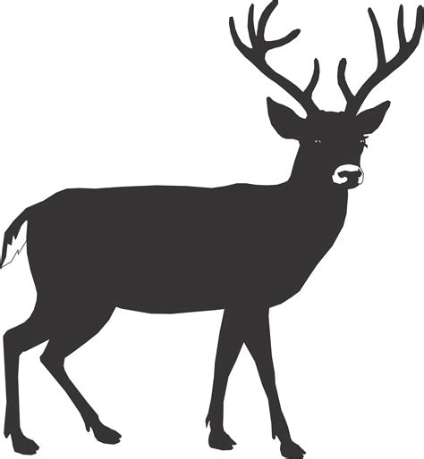 Deer Head Outline
