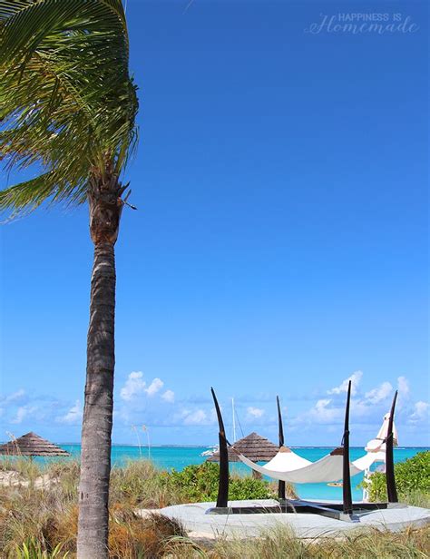 10 Things To Do Beaches Turks Caicos Resort Villages Spa