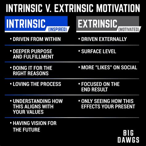 Extrinsic Motivation Examples In Exercise Lincolnpasley