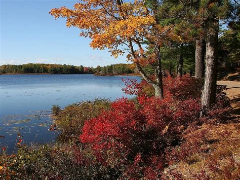 Acadia National Park Maine Landscape Fall Autumn Foliage Colorful