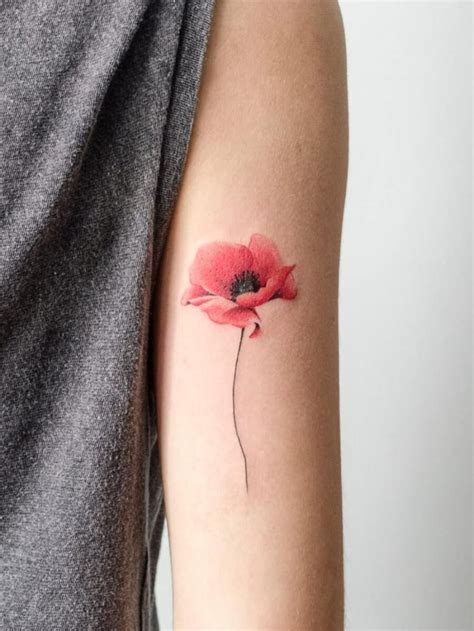 30 Beautiful Cute Poppy Tattoo Ideas Floral Tattoo Design