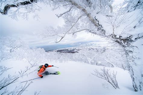 Cat Ski Hokkaido Backountry Ski Guides Japan