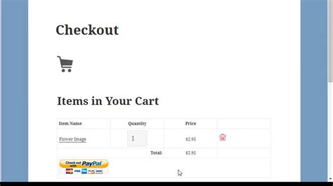 Creating A Specific Checkout Page With Wp Simple Shopping Cart Youtube