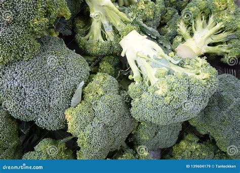 Fresh Organic Green Broccoli In Market Stock Image Image Of