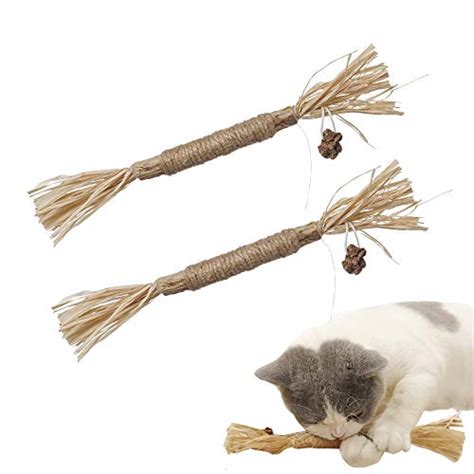 Catnip Toy Cat Toys Catnip Toy Cat Chew Toy Cat Kicking Silvervine