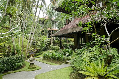 Tropical Garden In Ubud Bali Indonesia Photograph By Jm Travel