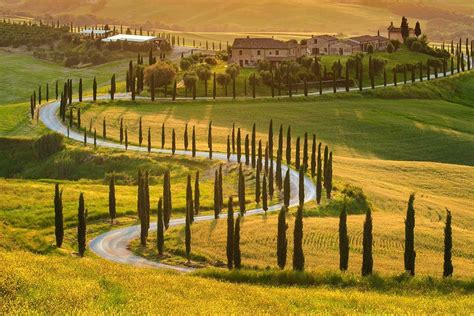 Tuscany Wineries To Visit ⭐️ 2024 Best Tours And Tastings