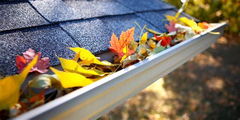 What Kind Of Damage Can A Clogged Gutter Cause To Your Home The