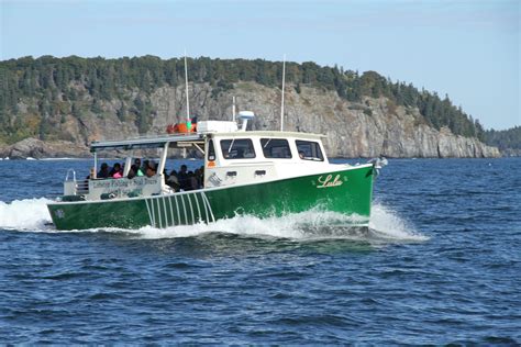 Maine Lobster Fishing And Seal Watching Tours On The Lulu Lobster Boat