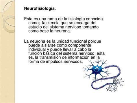 Neurofisiología