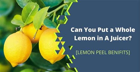 Can You Put A Whole Lemon In A Juicer Pros Cons Of Lemon Peel
