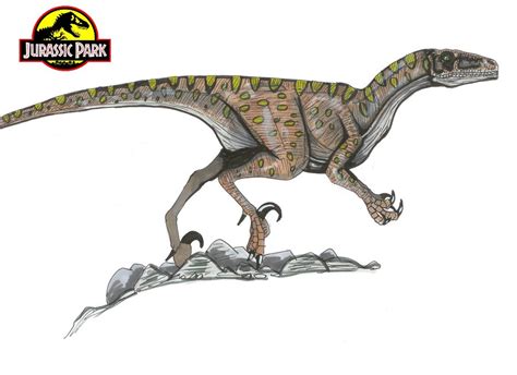 Deinonychus Park Pedia Jurassic Park Dinosaurs Stephen Spielberg