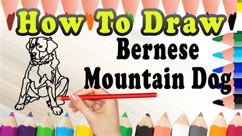 How To Draw A Bernese Mountain Dog Puppy At How To Draw Vrogue