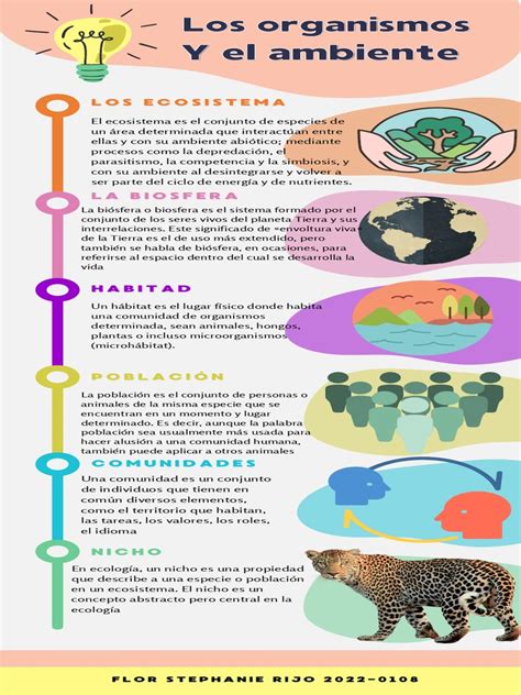 Infografía Organismo Y Ambiente Pdf