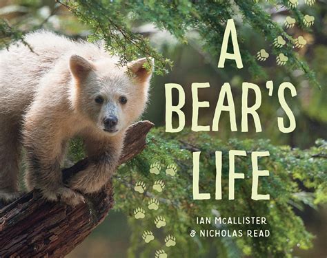 A Bears Life By Ian Mcallister And Nicholas Read Pacific Wild