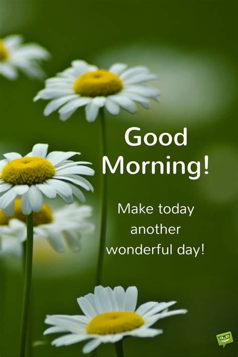 Share some beautiful good morning wishes with your beloved ones to make their day filled with positive and inspiring mood we have selected some of the best good morning wishes, which you can use to wish your friends, family and loved ones. Fresh Inspirational Good Morning Quotes for the Day - Part 2