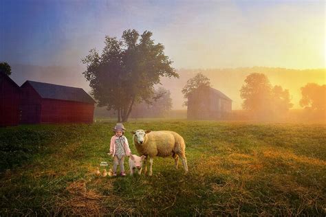 Easter Farm With Piglet And Sheep In Country Spring Field Digital