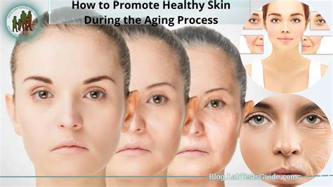 How To Promote Healthy Skin During The Aging Process Lab Tests Guide Blog