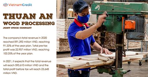 Top 10 Timber Companies In Vietnam
