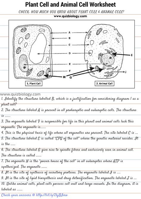 Plant And Animal Cell Comparison Worksheet