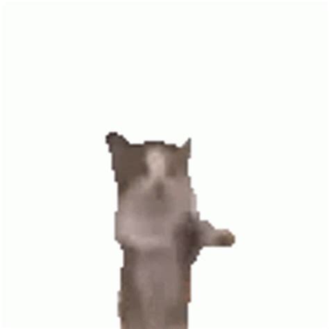 Cat Jump Sticker Cat Jump Happy Discover Share GIFs In 2023