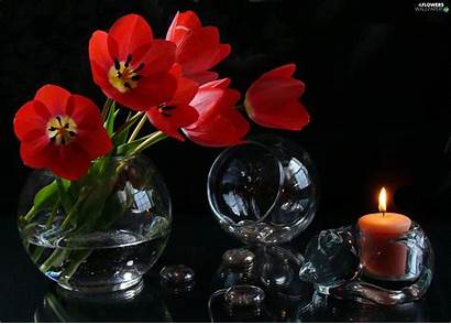Still Candle Flowers Glass Orb Wine Wallpapers