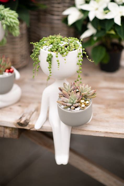 Welcome These Cute Succulent Planters Into Your Home For The Holidays
