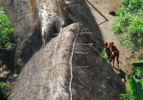 More Than 100 Uncontacted Tribes Exist In Total Isolation From Global Society Iflscience