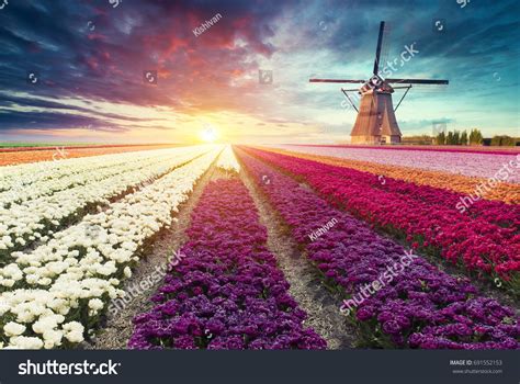 Traditional Netherlands Holland Dutch Scenery With One Typical Windmill