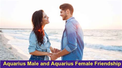 Aquarius And Aquarius Friendship Love Sexual Compatibility