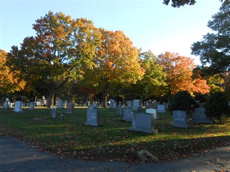 An Autumn Walk In St Johns Cemetery Sharon Healy Yang