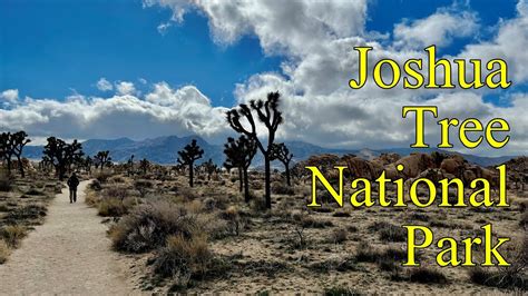 Rv California Joshua Tree National Park Youtube