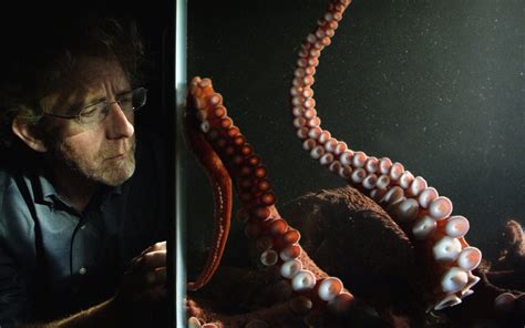 The Octopus In My House Meet The Heartbroken Scientist Behind An