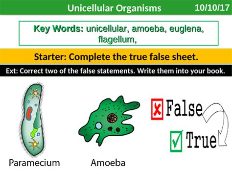 Unicellular Organisms Teaching Resources