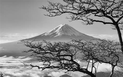 Looking for the best black and white nature wallpaper? oa85-japan-fuji-maountain-bw-nature-wallpaper
