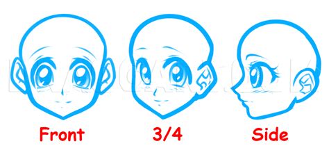 How To Draw An Anime Face For Beginners Step By Step Drawing Guide