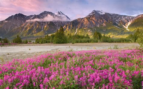 We hope you enjoy our growing collection of hd images to use as a background or home screen for your smartphone or computer. 45+ Free Spring Scenery Wallpaper on WallpaperSafari