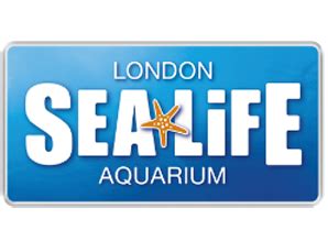 Choose from over a million free vectors, clipart graphics, vector art images, design templates, and illustrations created by artists worldwide! Sea Life London Aquarium: das Tiefsee-Abenteuer - London ...