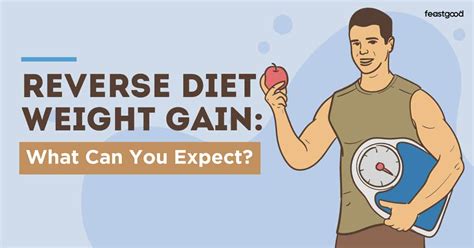 Reverse Diet Weight Gain What Can You Expect