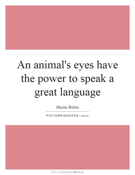 An Animals Eyes Have The Power To Speak A Great Language Picture Quotes