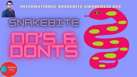 Snakebite Do S And Don Ts First Aid International Snakebite