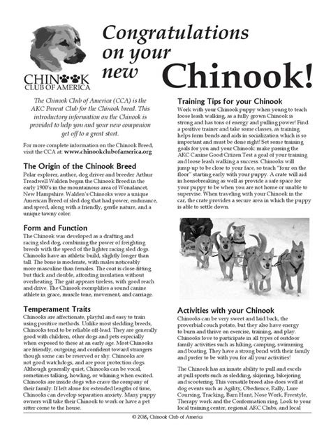Tips For Chinook Owners Chinook Club Of America Inc