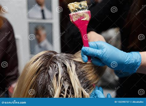 Woman Dyeing Hair Stock Image Image Of Hairstylist 132290737